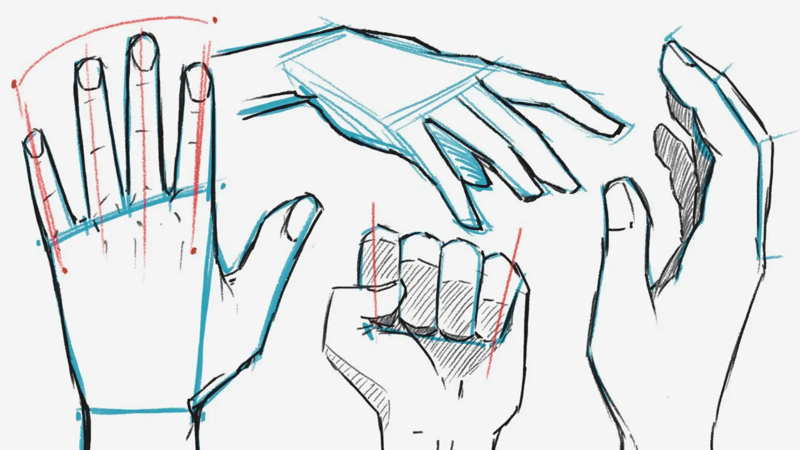Hand drawing reference